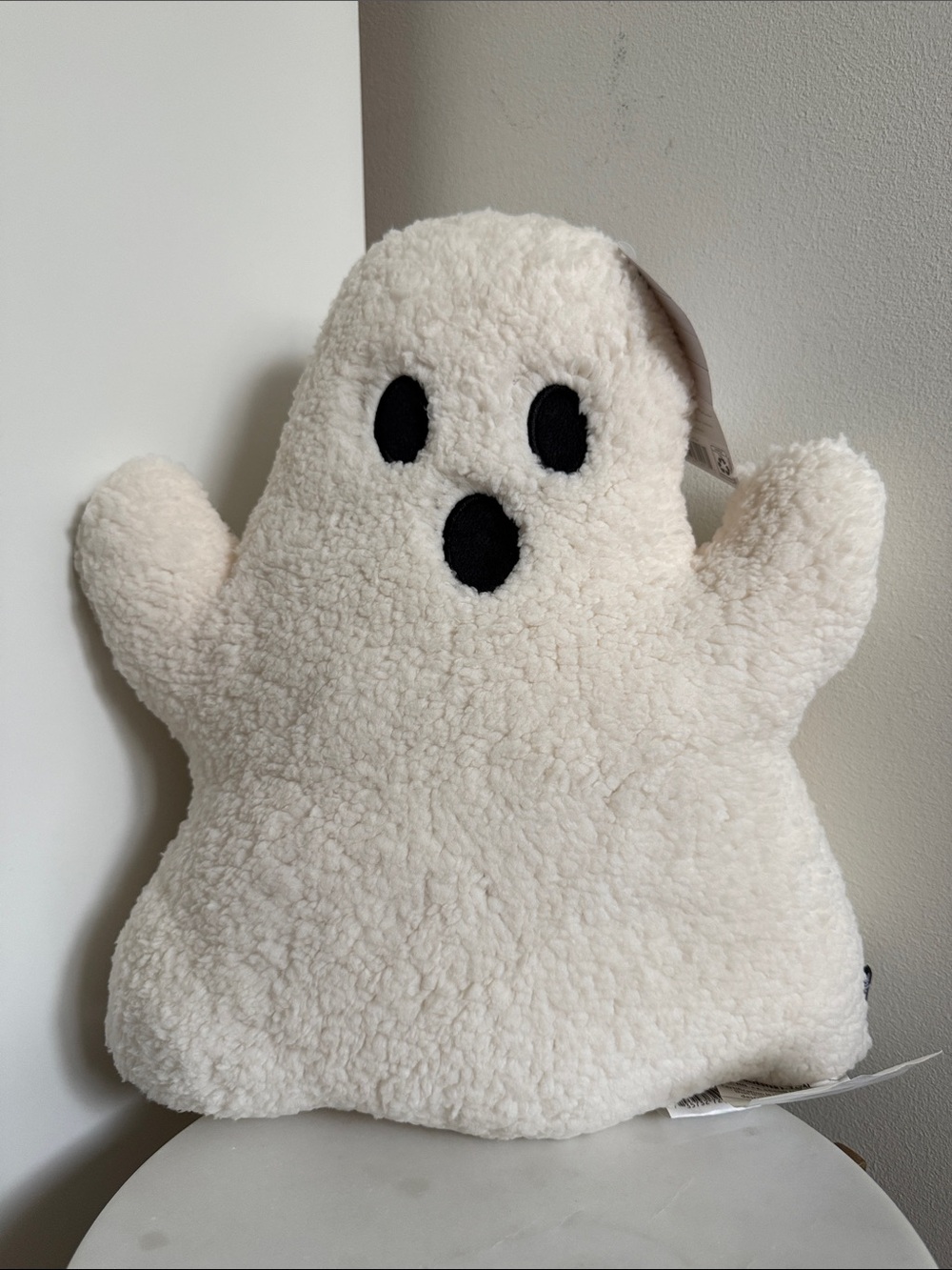 My Texas House Ghost Pillow